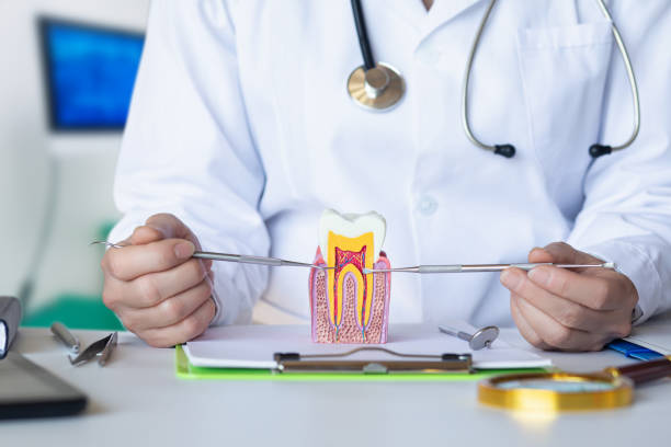 Best Emergency Dentist for Lost Fillings or Crowns in St Leon, IN
